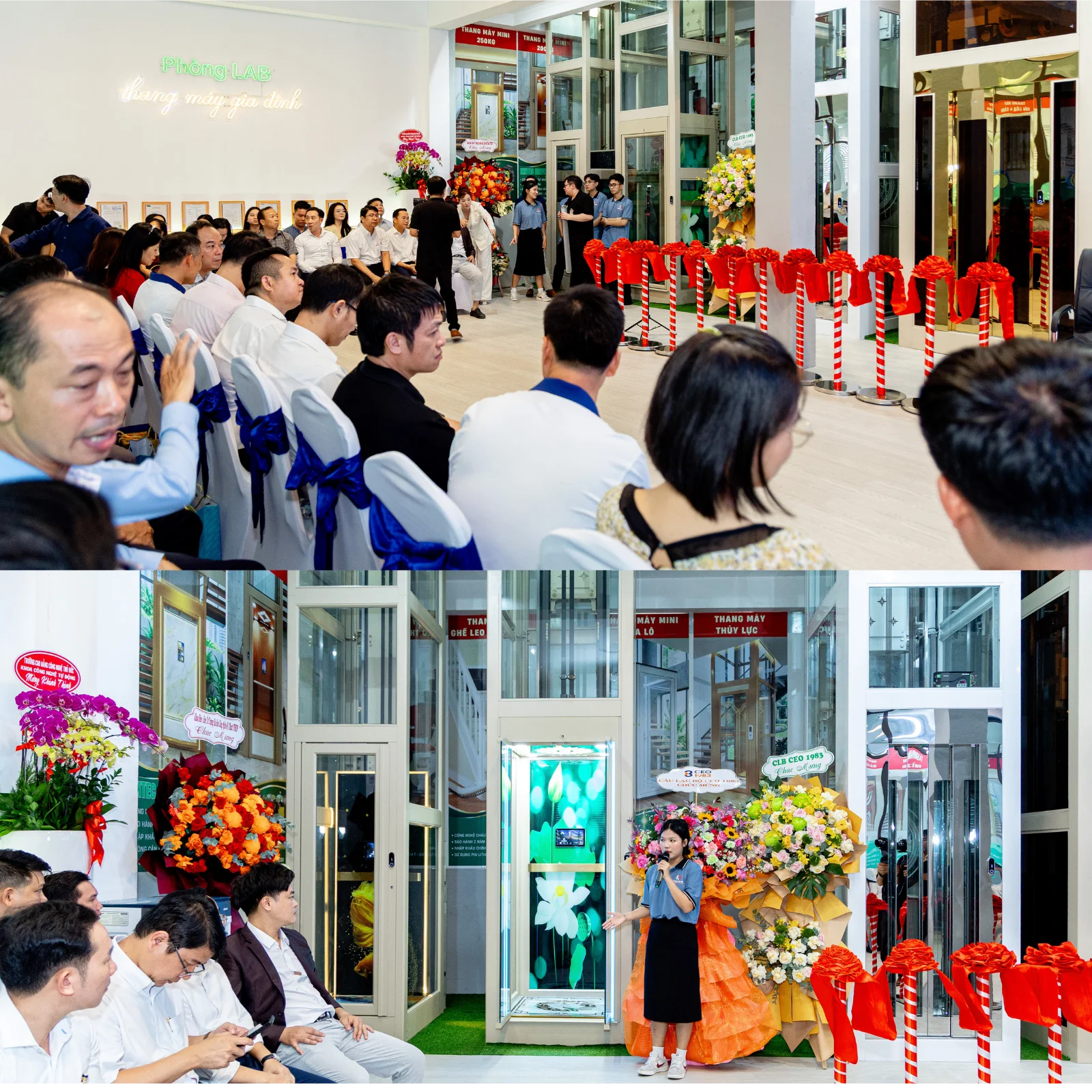 Thang Máy Tại Showroom Thang Máy Tại Showroom