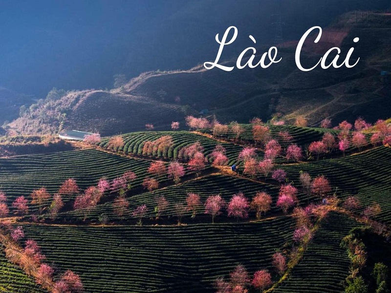 LÀO CAI LÀO CAI